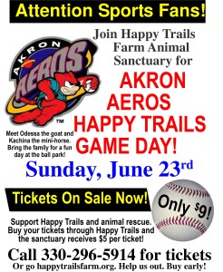 2013AkronAerosFundraiser.p65