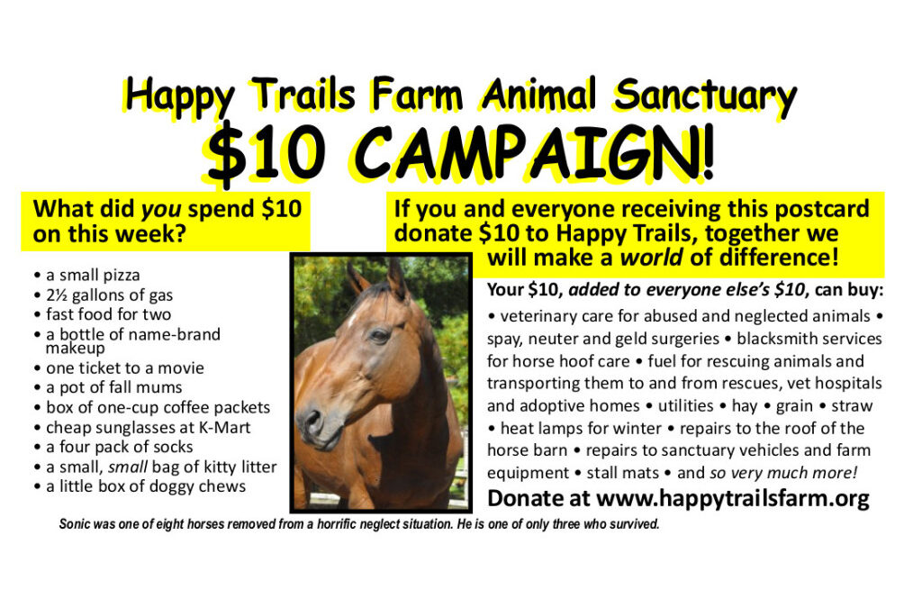 $10 Campaign is Here